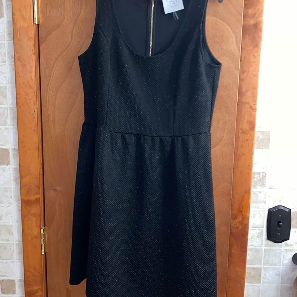 Hd in Paris dress